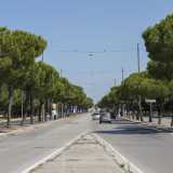 Decidiamo cos� di ritornare al punto di partenza, sulla lunga arteria di via Caldarola, costeggiata da file di pini...